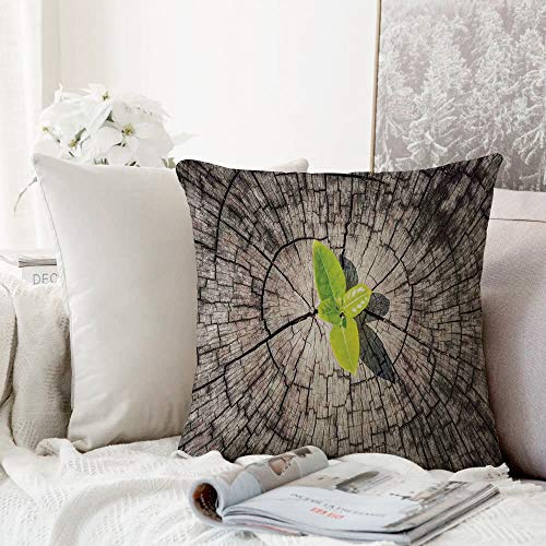 Fangguan decoración Cuadrada, Halloween, Happy Halloween Truco o Trato Manchas de Acuarela Gotas Calabaza Murciélagos, Naranja Negro Bl,Funda de Almohada Almohada para Coche Almohada para sofá casero