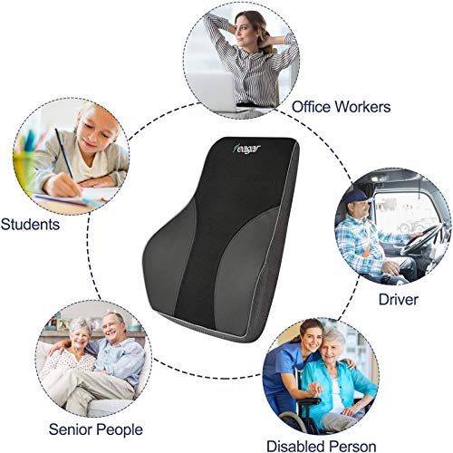 Feagar Repaldo Lumbar para Silla Oficina, el Cojin Lumbar con Esponja Memoria, Almohada Lumbar, Soporte Lumbar Coche,Apoyo a la Espalda, PU