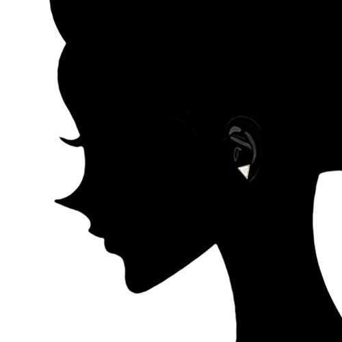 FENICAL Ear Stud Pendientes pequeños y Frescos con Forma de Estrella Animal en Forma de Estrella Anillos de Orejas con 30 Pares