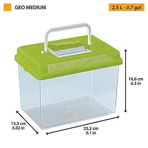 Ferplast Acuario de plástico para Peces Geo Medium Tanque de 2,5 L, Acuario terrario Insectos y Tortugas, Plástico, Rejillas de ventilación, Asa para el Transporte, 23,2 x 15,3 x h 16,6 cm Verde