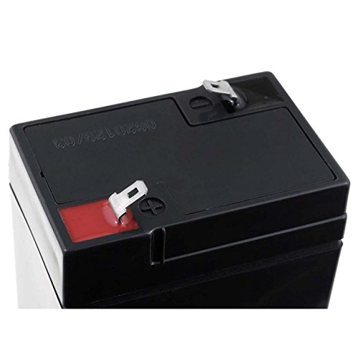 FIAMM Recambio de Batería para Peg Perego Feber Injusa Smoby Diamec 6V 4 5Ah1