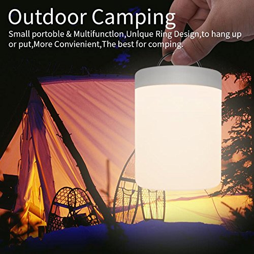 FiDi Tek Lámpara LED Luz Nocturna Regulable, Infantil, Diseño de Control Táctil, para Escritorio Recargable y Camping, 2.4 W