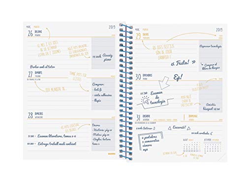 Finocam - Agenda, semana vista apaisada, catalán, Septiembre 2019 - Agosto 2020, Multicolor (Prints Palm)