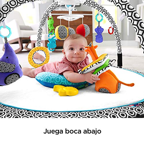Fisher-Price - Gimnasio Estimula Los Sentidos, Manta de Juego para Bebé (Mattel DFP71)