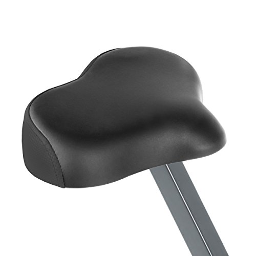 FITFIU Fitness Best 200 Bicicleta Estática Spinning Plegable sin resplado, con Freno magnético, Pulsómetro y Disco de inercia de 8 kg Regulable, Entrenamiento Cardio Fitness, Unisex Adulto, Gris