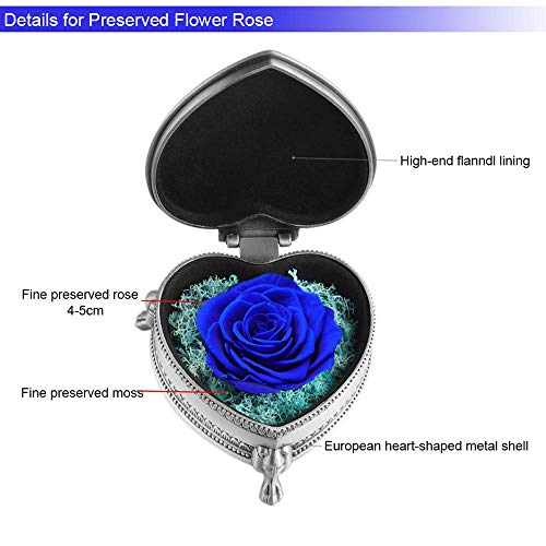 Flor Eterna Rosa Artificiales de Rosas Fresca Decoración,Regalo para Ella en el día de San Valentín, Día de la Madre, Navidad, Aniversario, Boda, Cumpleaños Flores