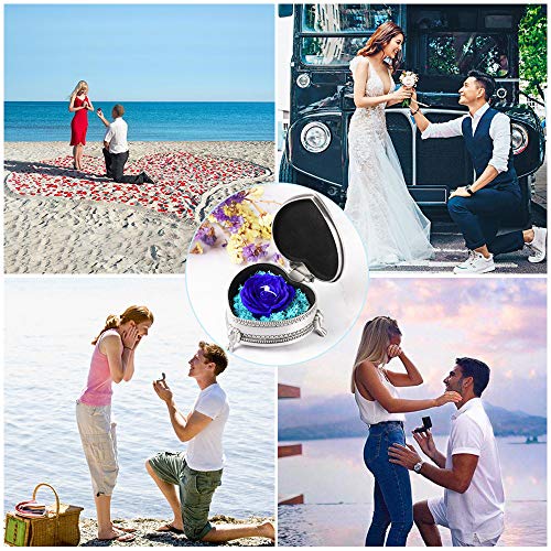 Flor Eterna Rosa Artificiales de Rosas Fresca Decoración,Regalo para Ella en el día de San Valentín, Día de la Madre, Navidad, Aniversario, Boda, Cumpleaños Flores