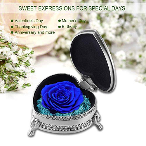 Flor Eterna Rosa Artificiales de Rosas Fresca Decoración,Regalo para Ella en el día de San Valentín, Día de la Madre, Navidad, Aniversario, Boda, Cumpleaños Flores