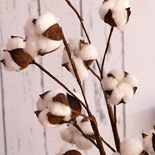 Flores artificiales secas de algodón DIY flores artificiales de simulación de flores artificiales naturales reales flores artificiales para decoración del hogar, bodas, fiestas, oficinas, restaurantes