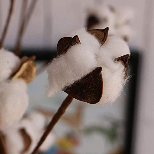 Flores artificiales secas de algodón DIY flores artificiales de simulación de flores artificiales naturales reales flores artificiales para decoración del hogar, bodas, fiestas, oficinas, restaurantes