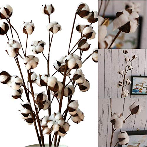 Flores artificiales secas de algodón DIY flores artificiales de simulación de flores artificiales naturales reales flores artificiales para decoración del hogar, bodas, fiestas, oficinas, restaurantes