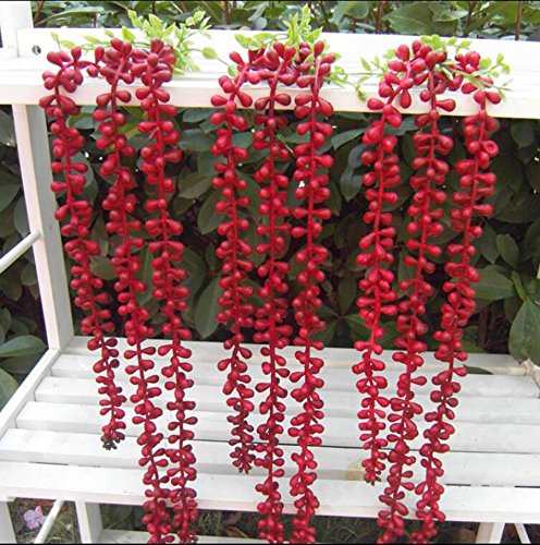 flores de San Valentín al por mayor de gama alta de simulación de las lágrimas suaves perlas de flores artificiales flores de plástico,75cm de largo, de color rojo