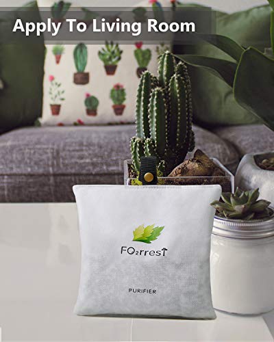 FO2RREST Bolsa Purificadora de Aire para Ambientadores de Aire para el Hogar,Desodorante de Aire de Silicio Activado Natural,Purificadores de Aire para el Hogar (150g * 4 Paquetes)