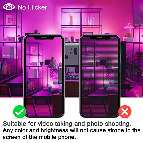 Foco LED Proyector de Exterior impermeable 15W Controlado por la Aplicación de Teléfono Foco Proyector Exteriores IP66 LED Foco de Colores Adaptado para Decoración de Jardín Parque Hotel Terraza