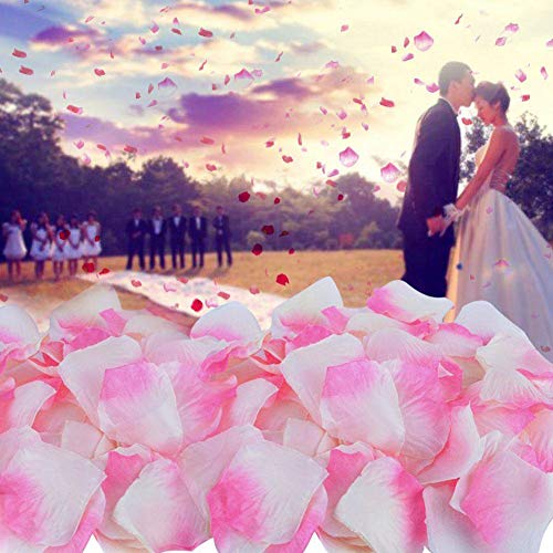 Fodlon 1500 Piezas Petalos de Rosa Artificiales, Pétalos de Rosa en Seda, Confeti para Boda, Noche Romántica, Día de San Valentín, Dispersión de Mesa (Rosa + Blanco)