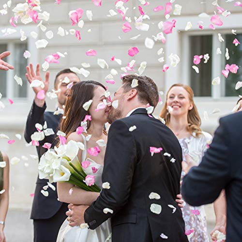 Fodlon 2500 Piezas Petalos de Rosa Artificiales, Pétalos de Rosa en Seda, Confeti para Boda, Noche Romántica, Día de San Valentín, Dispersión de Mesa (Rosa)