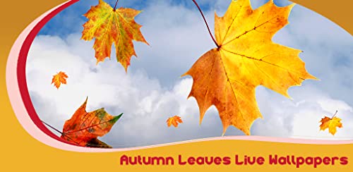 Fondos de otoño de hojas vivas
