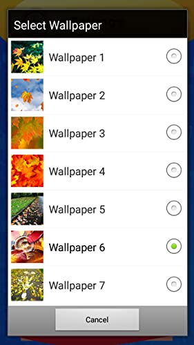 Fondos de otoño de hojas vivas