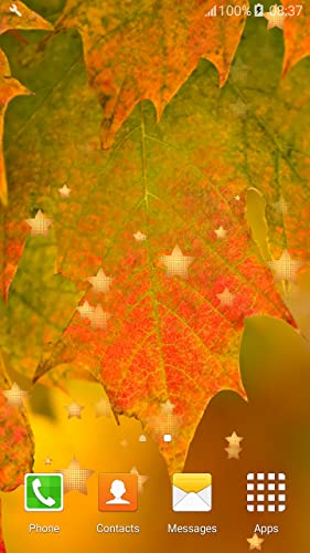 Fondos de otoño de hojas vivas