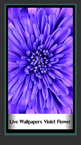Fondos de pantalla animados Violet Flower