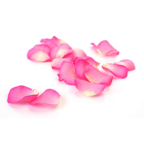 Foreo - Mascarilla Facial Hidratante Para Ufo Bulgarian Rose Foreo