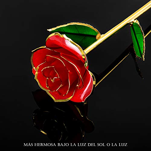 FORGIFTING Rosa Eterna, Regalos Originales para Mujer Ella Madre Novia Abuela en San Valentín, Sant Jordi, Día de la Madre, Aniversario, Boda, Cumpleaños - Flor Rosa de Oro de 24K (Rosa Roja+Soporte)