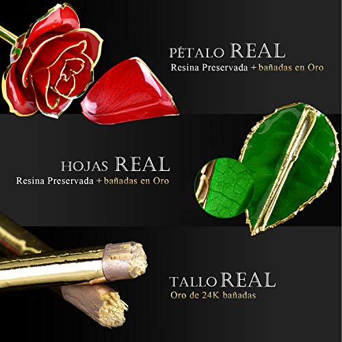 FORGIFTING Rosa Eterna, Regalos Originales para Mujer Ella Madre Novia Abuela en San Valentín, Sant Jordi, Día de la Madre, Aniversario, Boda, Cumpleaños - Flor Rosa de Oro de 24K (Rosa Roja+Soporte)