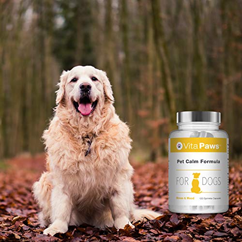 Fórmula Calmante para Perros - 120 Cápsulas - VitaPaws