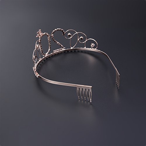 Frcolor Corona Cumpleaños 20 Años Diadema Cumpleaños Mujer Tiara Cristal con Peines (Oro Rosa)