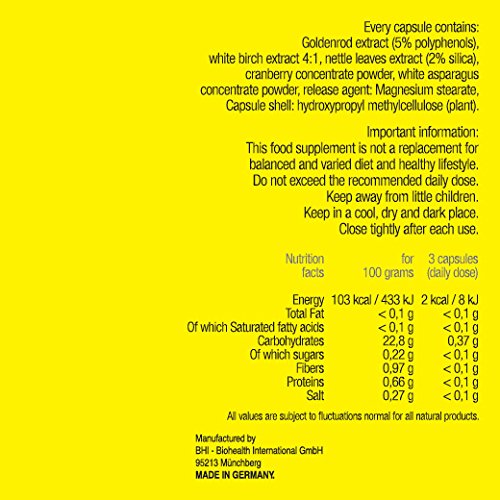 FREE - sistema urinario Naturalmente saludable. Limpiar las vías urinarias. Con la vara de oro, abedul blanco, hojas de ortiga, extractos de arándano. Complemento alimenticio para ayudar a tratamiento de infecciones UTI. 90 cápsulas píldoras. No contiene 