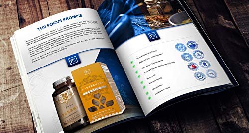 FS L Teanina 300mg | 180 Capsulas Veganas de Alta Potencia | Pastillas para Dormir, Concentracion y Memoria | Nootropicos de Te Verde | Aumenta la Relajación y el Rendimiento Cognitivo | Sin OGM