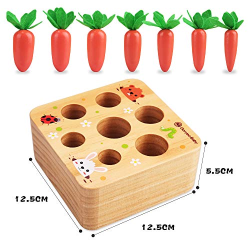 Fullove Juguetes Educativos para Bebés Montessori, Juguetes de Aprendizaje Preescolar para Niños de 1 2 3 Año Juguete de Zanahoria de Madera para Niños Niñas 2 Años Bebés de 6 Meses Juguete Niño Niña