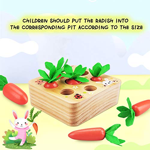 Fullove Juguetes Educativos para Bebés Montessori, Juguetes de Aprendizaje Preescolar para Niños de 1 2 3 Año Juguete de Zanahoria de Madera para Niños Niñas 2 Años Bebés de 6 Meses Juguete Niño Niña