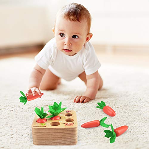 Fullove Juguetes Educativos para Bebés Montessori, Juguetes de Aprendizaje Preescolar para Niños de 1 2 3 Año Juguete de Zanahoria de Madera para Niños Niñas 2 Años Bebés de 6 Meses Juguete Niño Niña