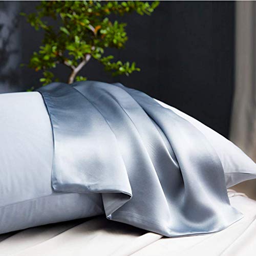 Funda de almohada de seda de morera 100% natural: suave y transpirable con ambos lados 21 Momme 600TC Hipoalergénico Suave y transpirable con ambos lados Funda de almohada de seda(Silver Grey)