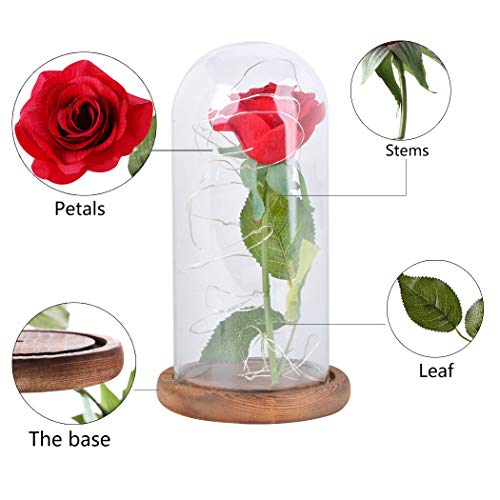 FunPa Rosa Eterna Roja, Rosas La Bella y la Bestia Rosa de Seda Roja y luz LED Flor en Cúpula Vidrio con Pedestal de Madera Boda Regalo para de Día de la Madre