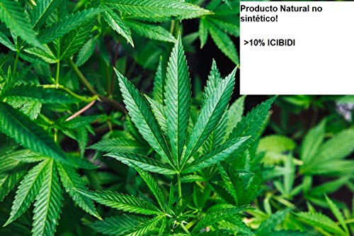 GANJA Flor aromática de Cáñamo ("Aroma Te ;D") *NUEVO* STARDUST >10% I Calidad Premium 1g (1 Gramo) I Made in Austria I Coltivazione in Camera Bianca I Embalaje Anónimo