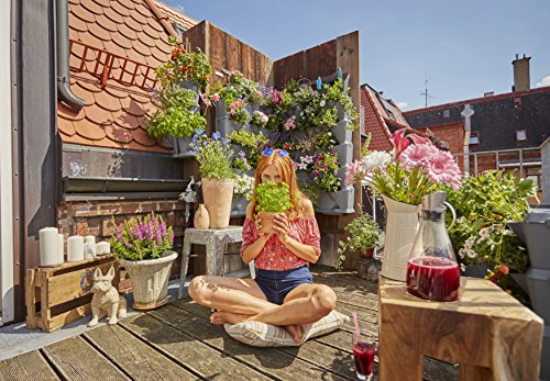 Gardena NatureUp Set Básico 9 Plantas para Plantar un jardín Balcones, terrazas y Patios Cont: 3 jardineras Verticales, 3 Cubiertas, 1 Placa de Base, 12 Clips Kit, Gris, 30.1x21.7x66.3 cm