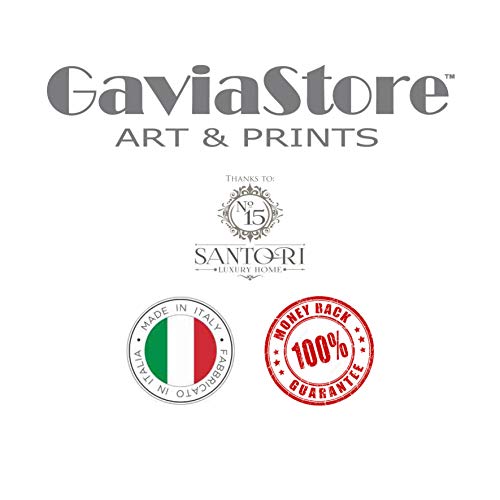 GaviaStore Art Prints - con Marco 70x50 cm - Cuadros Impresiones Pintura Cartel Foto Mueble hogar impresión decoración casa Sala Poster Cuadro Imagen Enmarcado Wall Art Picture (Flores 2)