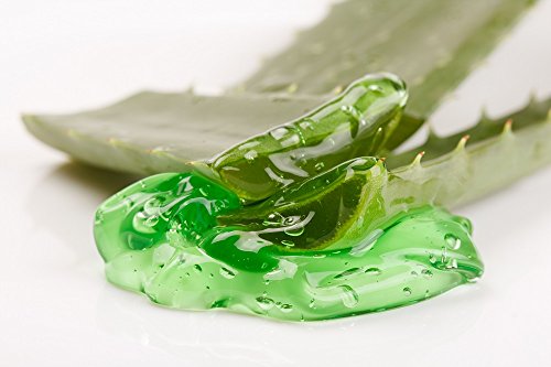 Gel de Aloe Vera y Algas Adelgazante 227g Hidratante Remodelante Perdida de Peso con Algas Marinas Anti Celulitis