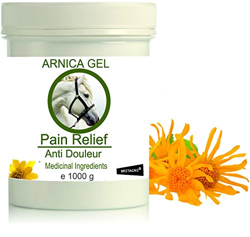 Gel de Árnica Montana 90% Caballos 1000g Acción Rápida Remedio herbal 100% Natural