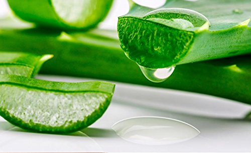 Gel Liquido Zumo de Aloe Vera 99.9 % Puro Ecológico fresco 100% Natural 2000 ml