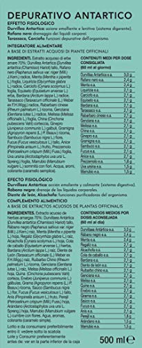 Gianluca Mech Suplemento Alimenticio Depurativo "Decottopia" - 500 ml