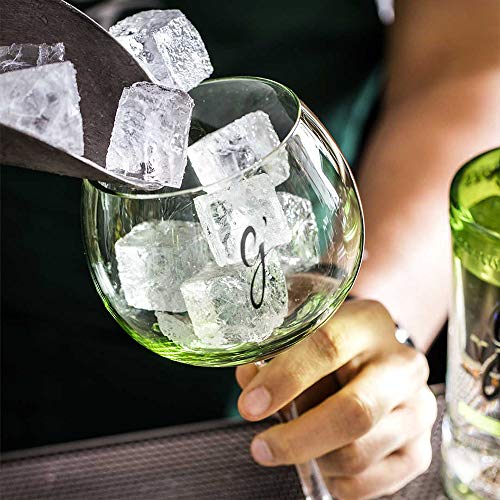 Ginebra G'Vine Floraison 175cl 40º