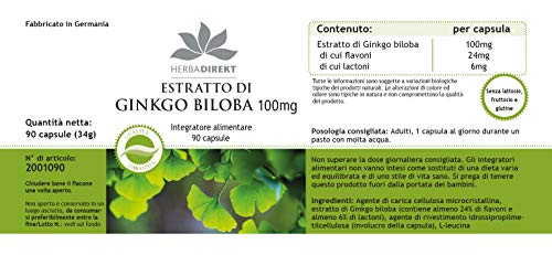 Ginkgo Biloba 100mg – mín. 24% de flavonas y 6% de lactonas – Vegano – 90 cápsulas