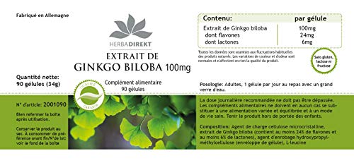 Ginkgo Biloba 100mg – mín. 24% de flavonas y 6% de lactonas – Vegano – 90 cápsulas