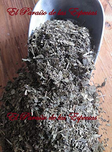 Ginkgo Biloba hoja Cortada 1000 gr - Ginkgo Biloba para Infusión 100 % Natural