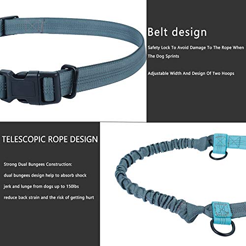 Girls'love talk Correa para Perro con Manos Libres,Cinturón Reflectante Multifuncional,Doble Cuerda Elástica para Perros,Ideal para Correr,Trotar o Caminar