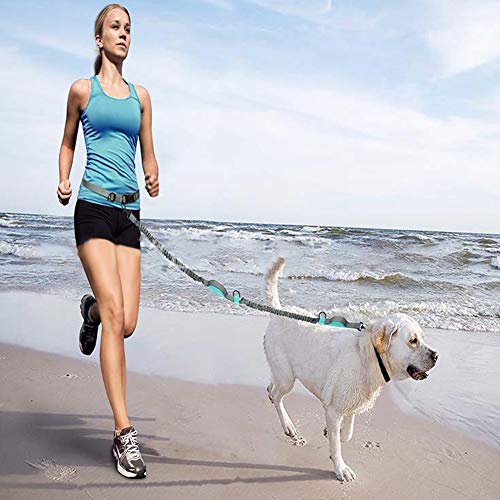 Girls'love talk Correa para Perro con Manos Libres,Cinturón Reflectante Multifuncional,Doble Cuerda Elástica para Perros,Ideal para Correr,Trotar o Caminar