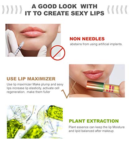 GL-Turelifes Lip Plumper Brillo labial, Ginger Mint Lip Balm Plumper Lip Extreme Volumen, labios hidratantes Enhancer, hidratar, eliminar las arrugas de sequedad (Transparente)